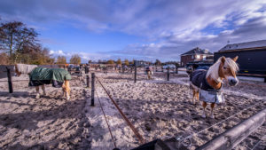 Manage No Limits - Vaste geluidsinstallatie 1